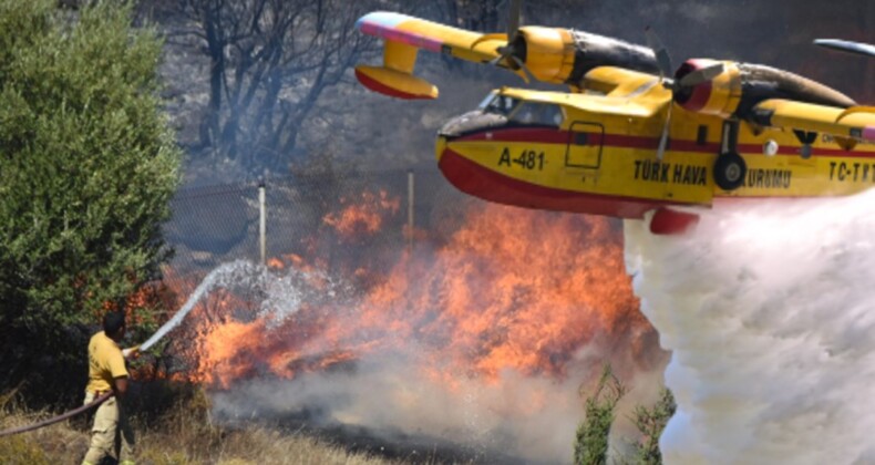 İzmir ve Aydın’da orman yangınları (Alevler kontrol altına alındı)