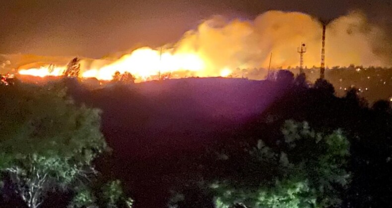 Bingöl ve Malatya’da orman yangını