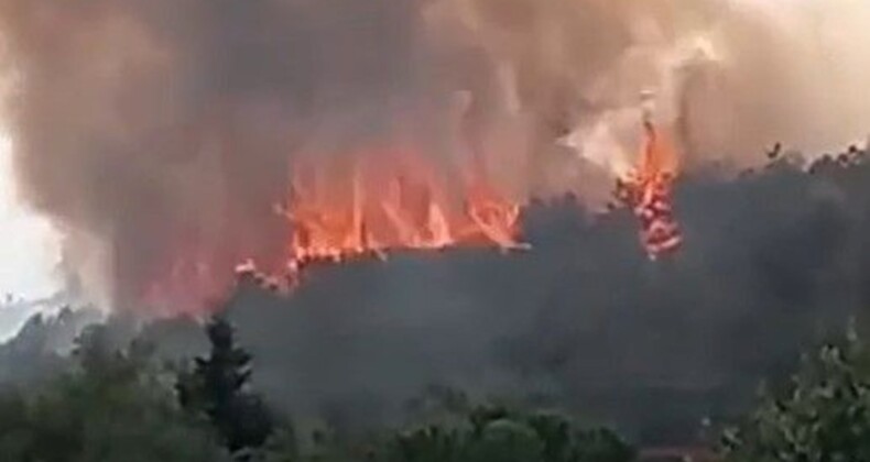 Kocaeli’de ormanlık alanda yangın çıktı
