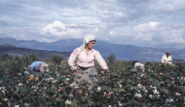 ARA GÜLER ARŞİVİNDEN ‘RENKLİ ANADOLU’ SERGİSİ