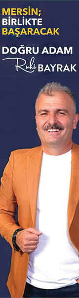 160x600