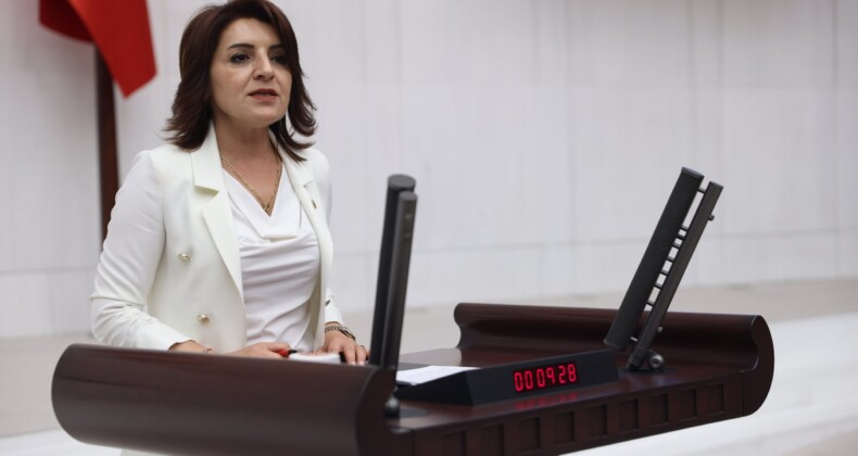 CHP’Lİ KIŞ: “MERSİN’DE BALIK ÇİFTLİĞİ İSTEMİYORUZ”