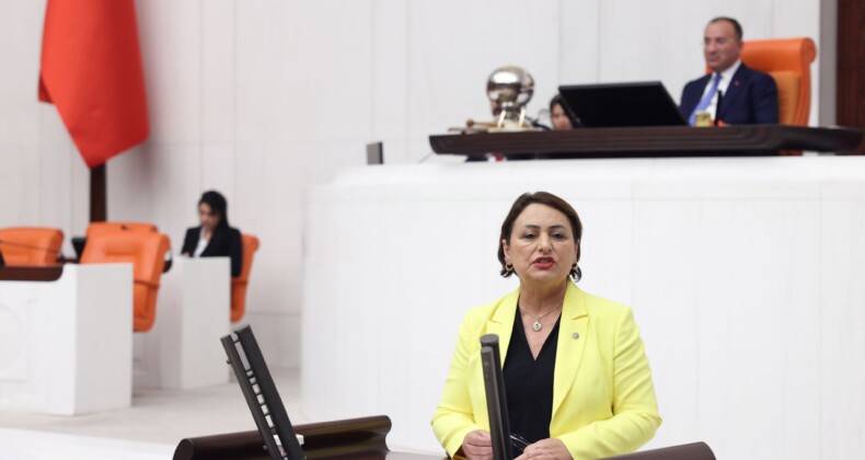 “İş cinayetleri araştırılsın”