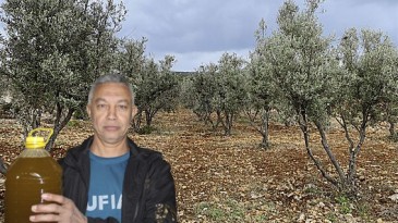 Organik Gıdalara İlgi Artıyor: Zeytinyağına Yönelim Artmış Durumda