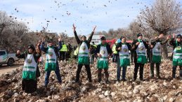 Mersin’de 2025 Yılı Silvikültürel Çalışmalar Başarıyla Tamamlandı