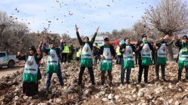 Mersin’de 2025 Yılı Silvikültürel Çalışmalar Başarıyla Tamamlandı