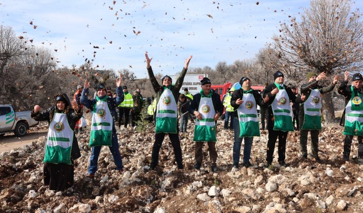 Mersin’de 2025 Yılı Silvikültürel Çalışmalar Başarıyla Tamamlandı