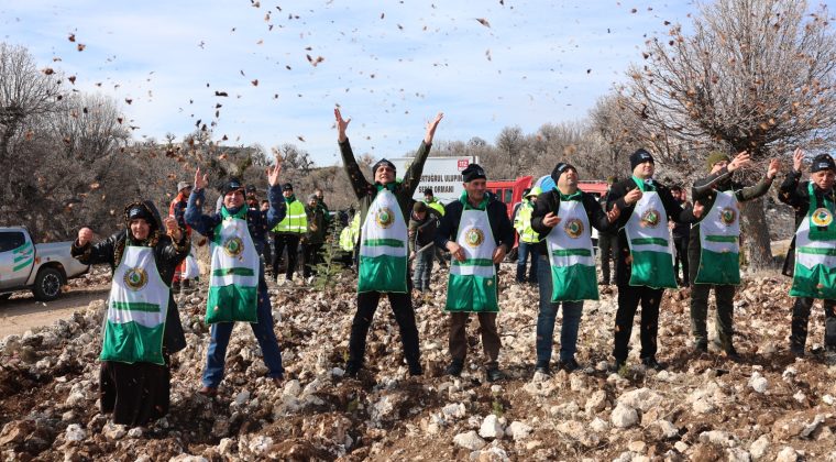Mersin’de 2025 Yılı Silvikültürel Çalışmalar Başarıyla Tamamlandı