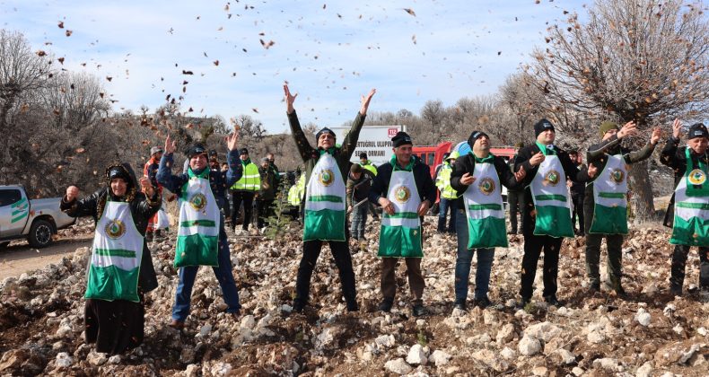 Mersin’de 2025 Yılı Silvikültürel Çalışmalar Başarıyla Tamamlandı