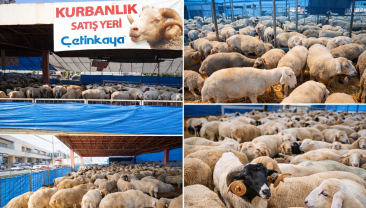 Çetinkaya’dan Kurban Bayramı’na Özel Hizmetler