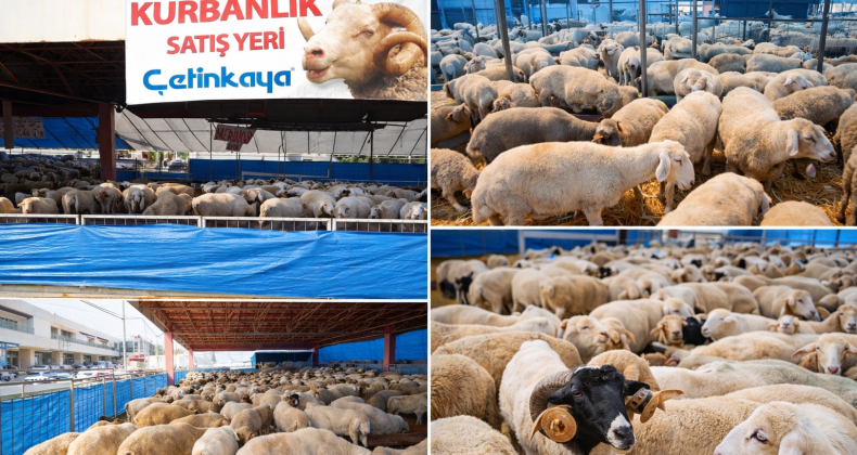 Çetinkaya’dan Kurban Bayramı’na Özel Hizmetler